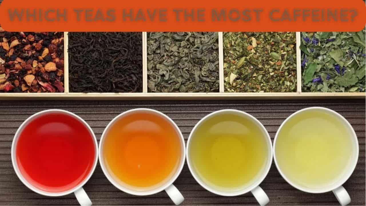 Which Teas Have the Most Caffeine