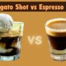 Affogato Shot vs Espresso Shot