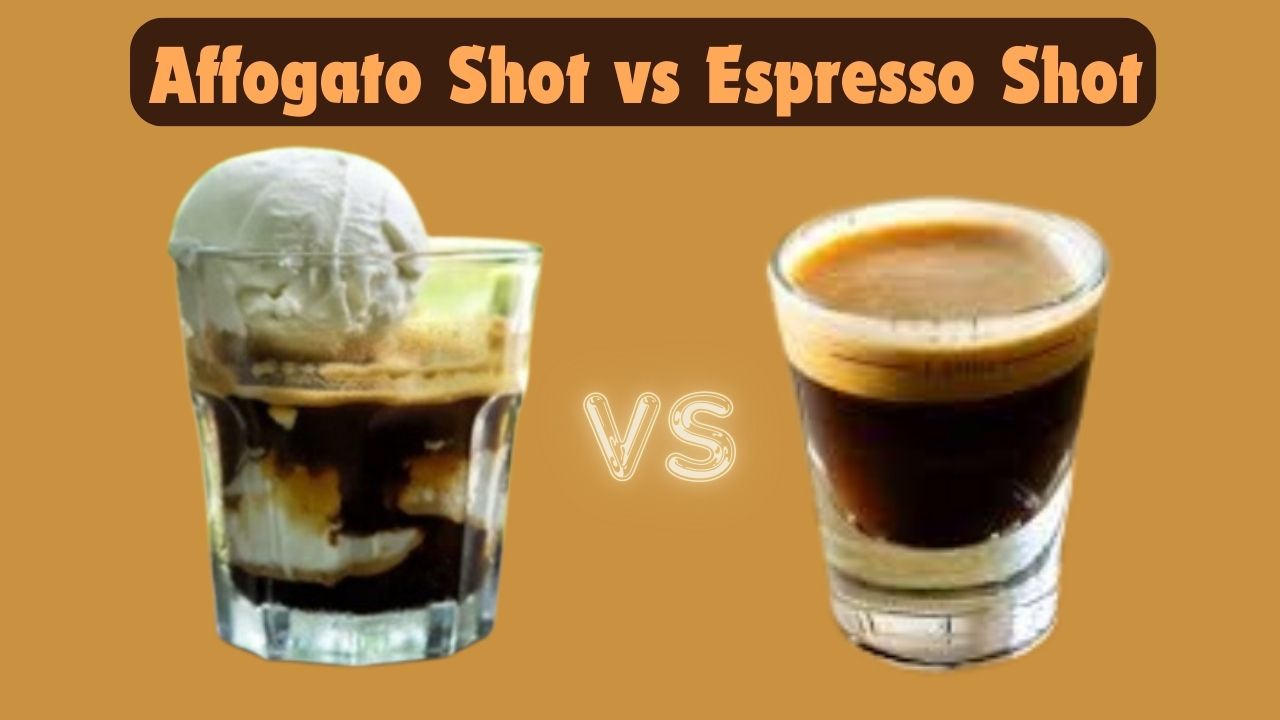 Affogato Shot vs Espresso Shot