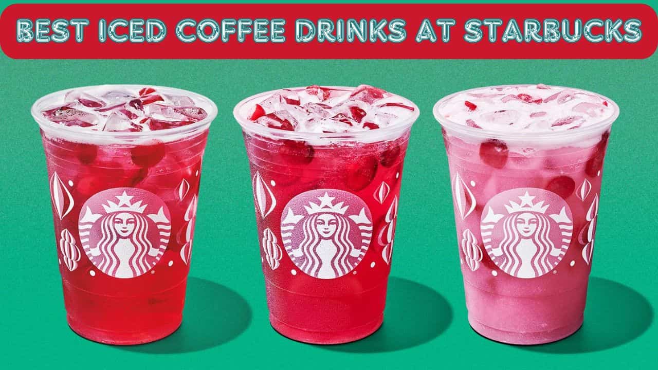 Iced Coffee Drinks at Starbucks