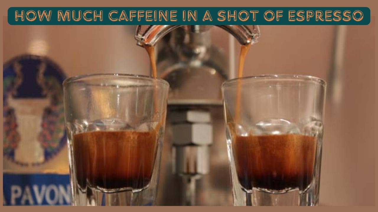 How Much Caffeine in a Shot of Espresso