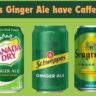 Does Ginger Ale have Caffeine?