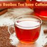 Does Rooibos Tea have Caffeine