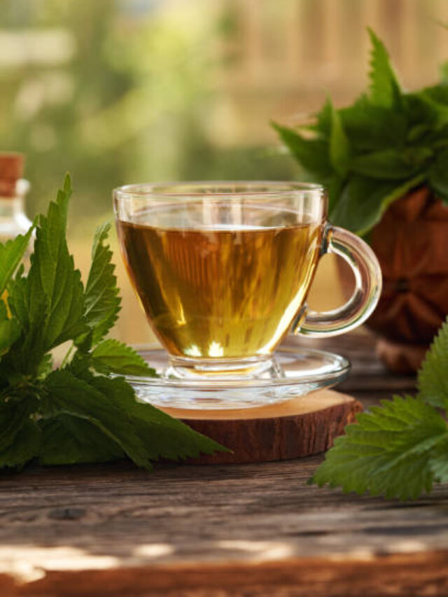 Nettle Tea Benefits for Health