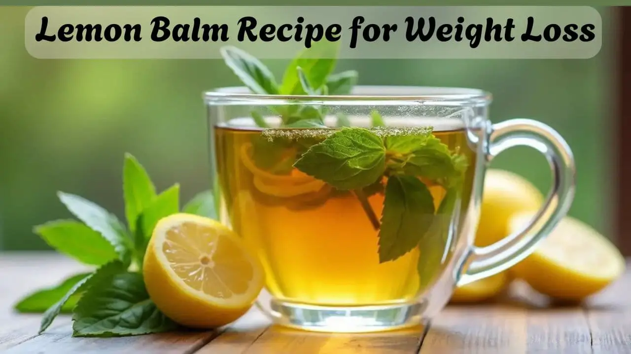 Lemon Balm Recipe for Weight Loss